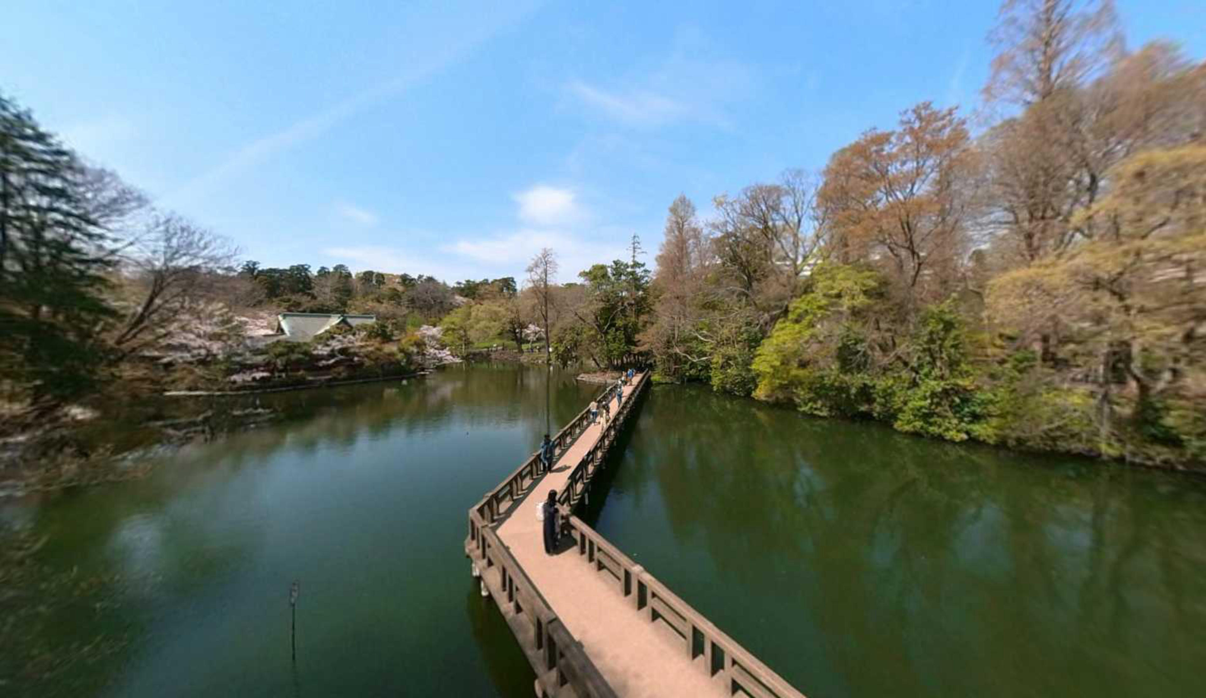 Inokashira Park virtual tour preview