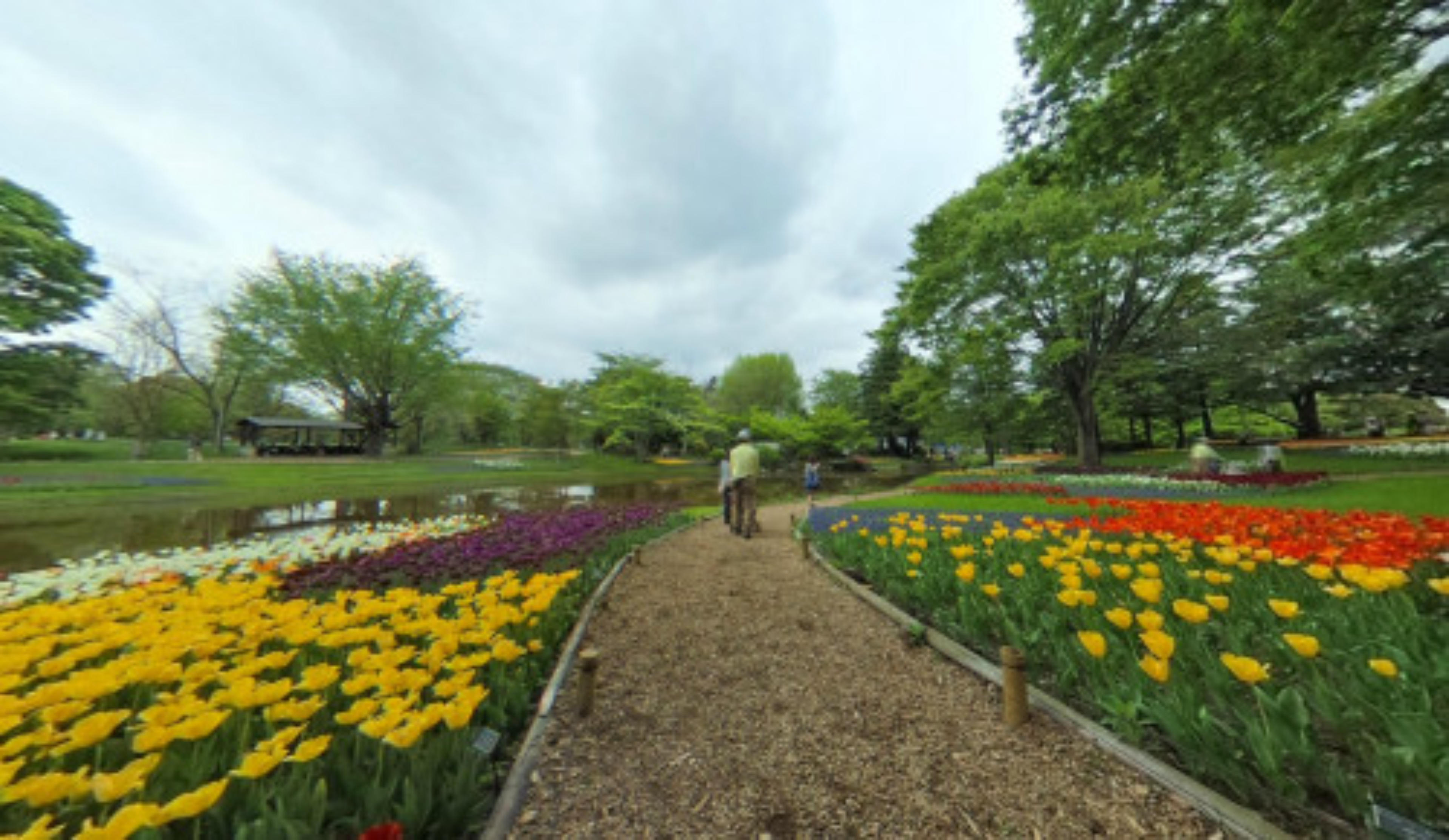 Showa Memorial Park virtual tour preview